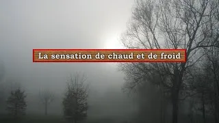Miniature : La sensation de chaud et de froid