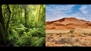 Miniature : Les mécanismes du climat