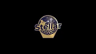 Miniature : [EVENT] Feu D’Artifice Des 50 Ans De l’AOP Cahors – Par Stellar Pyrotechnie