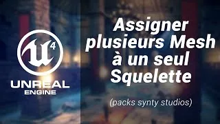 Miniature : Unreal Engine 4 | Assigner plusieurs Mesh à un seul squelette