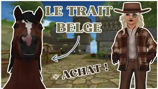 Miniature : ACHAT D'UN TRAIT BELGE ! 💪🐴