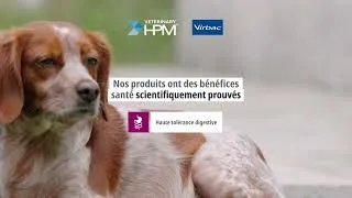 Miniature : Découvrez nos aliments adaptés aux chiens en bonne santé !