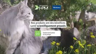 Miniature : Découvrez nos aliments adaptés pour les chats en bonne santé !