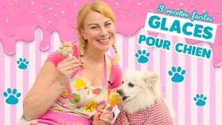 Miniature : 3 RECETTES FACILES DE GLACES POUR CHIEN ♡ VIRGINIE FAIT SA CUISINE
