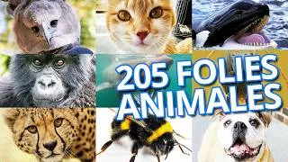 Miniature : 205 FAITS INCROYABLES SUR LES ANIMAUX
