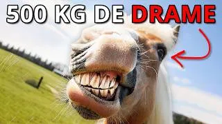 Miniature : Les Fans de Chevaux sont BIZARRES pour une Bonne Raison