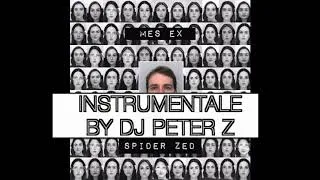 Miniature : Spider ZED - Mes Ex Pt.1 (Instrumentale)