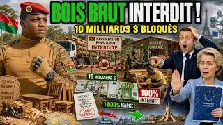 Miniature : Ibrahim Traoré interdit 100% du bois brut : l’Europe choquée par le Sahel