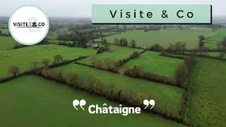 Miniature : « Châtaigne » ensemble immobilier équestre à Saint-Jean-d’Elle 