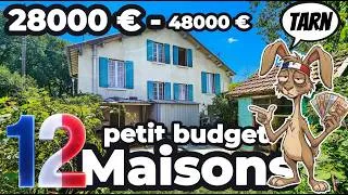 Miniature : 🇫🇷Maisons de Campagne á Vendre Petit Budget - TARN - 28000 € - 48000€