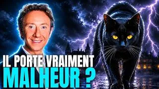Miniature : D'où vient la malédiction du chat noir ?