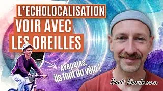 Miniature : L'écholocalisation : voir avec les oreilles