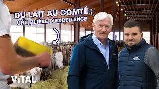 Miniature : GAEC des Saveurs : découvrez avec nous l'excellence de la filière Comté !