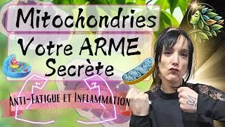 Miniature : Mitochondries : L’arme anti-fatigue et anti-inflammatoire !