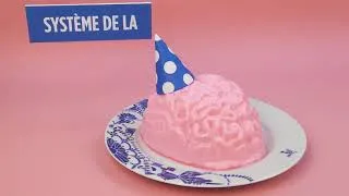 Miniature : L’addiction des réseaux sociaux