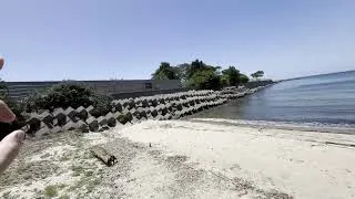 Miniature : Mon Quatrième Voyage Au Japon - Osaka 2026 Semaine 2 Partie 2