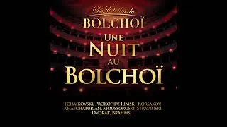 Miniature : Le vol du bourdon - Nicolaï Rimsky-Korsakov