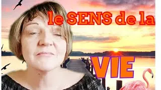 Miniature : QUEL EST LE SENS DE LA VIE ?