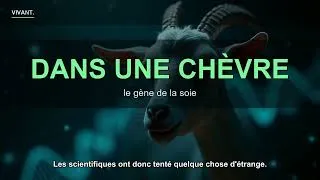 Miniature : Ce fil est 5× plus résistant que l'acier (et une araignée le fabrique)