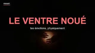 Miniature : Tu as un deuxième cerveau — et il est dans ton ventre