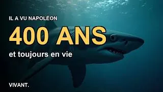 Miniature : Ces animaux ne vieillissent (presque) pas — et la science veut leur secret