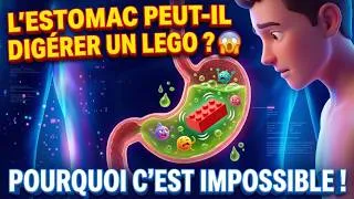 Miniature : Pourquoi l'estomac ne peut PAS digérer un LEGO ? 😱