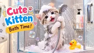 Miniature : Sleepy Kitten Wakes Up and Takes a Bath in the Shower! 🛁 | Cute & Funny Cat Adventure