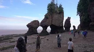 Miniature : Les Rochers Hopewell - Nouveau-Brunswick