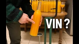 Miniature : J’ai fait du vin à 10° avec du jus d’orange du supermarché