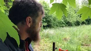 Miniature : L'étonnant projet d'autosuffisance d'une famille d'artistes