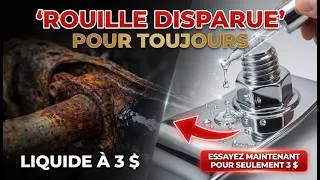 Miniature : Le Code Perdu de la Rouille : L'Antidote à 3€