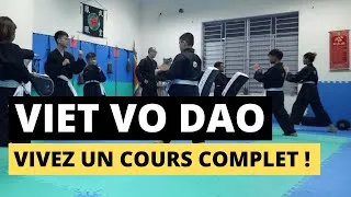 Miniature : VIET VO DAO DÉMONSTRATION ARTS MARTIAUX ENFANTS