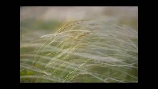 Miniature : Le Vent