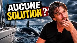 Miniature : Que faire quand une orque attaque votre bateau ?