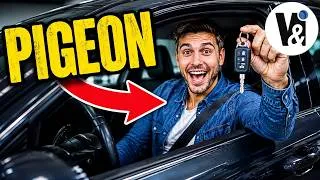 Miniature : Acheter un Nouveau Modèle de Voiture : Le Choix Débile😵