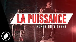 Miniature : Musculation: Tout savoir sur la PUISSANCE