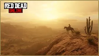 Miniature : MOINS PIRE QUE PRÉVU ?! LE DÉTAIL QUE TOUT LE MONDE A IGNORÉ ! Red Dead Online Infos