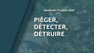 Miniature : Piéger, détecter, détruire