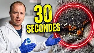 Miniature : Comment trouver les punaises de lit en 30 secondes ?