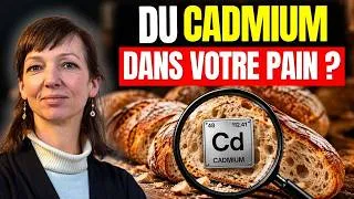 Miniature : Des métaux toxiques se cachent dans nos aliments !