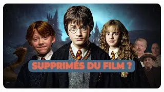 Miniature : Ce que vous N'AVEZ PAS VU dans HARRY POTTER (à l'école des sorciers)