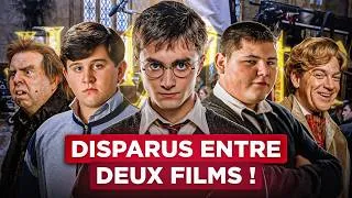 Miniature : HARRY POTTER : Où sont passés tous ces personnages ?