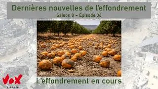 Miniature : Dernières nouvelles de l’effondrement – Saison 8 – Épisode  36 #effondrement #climatechange #nature