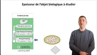 Miniature : La préparation des échantillons pour la tomographie électronique