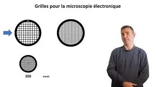 Miniature : La préparation des échantillons pour la microscopie électronique : les grilles