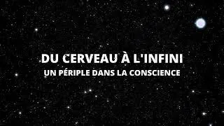 Miniature : Du Cerveau à l'Infini : Un Périple dans la Conscience