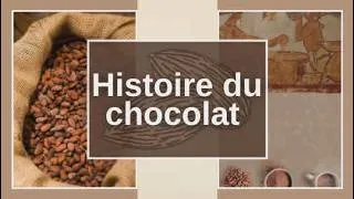 Miniature : Le chocolat