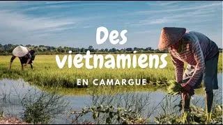 Miniature : Les indochinois en France pendant la seconde guerre mondiale