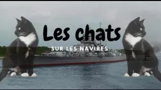Miniature : Les chats sur les navires de guerre