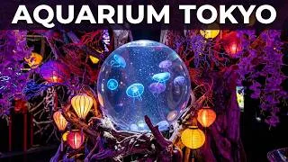 Miniature : Japon : Visite de Art Aquarium d'Odaiba à Tokyo | ASMR